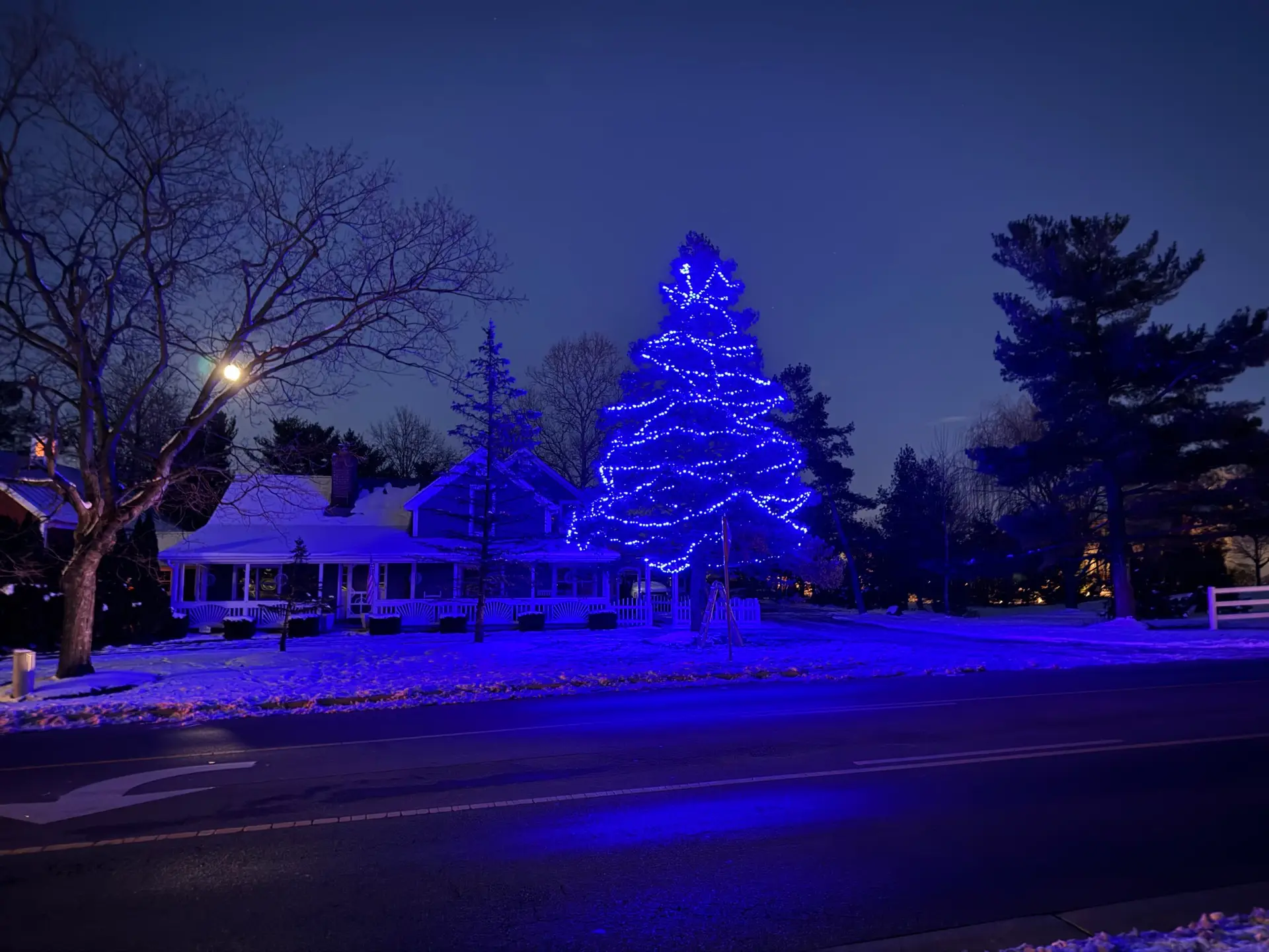 Illuminated outdoor Christmas lighting display